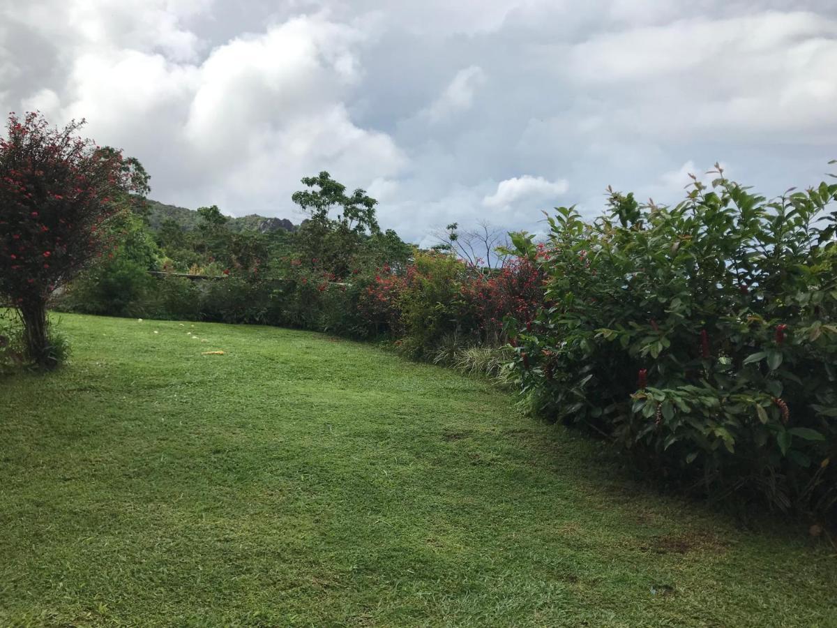 הוילה ויקטוריה Tropical Garden Self Catering מראה חיצוני תמונה