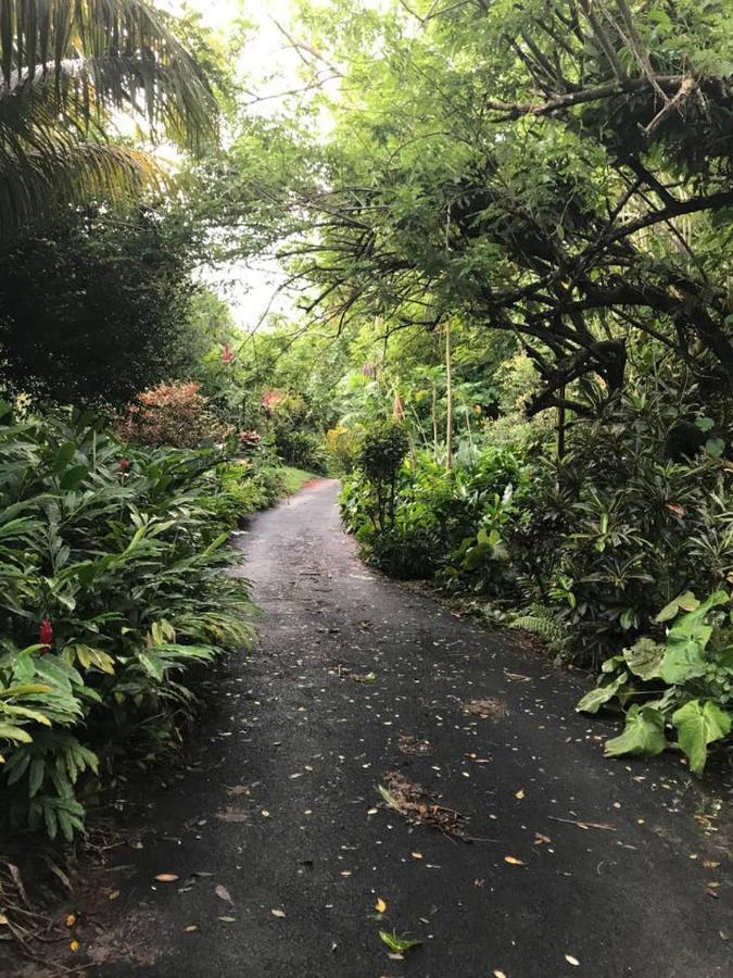 הוילה ויקטוריה Tropical Garden Self Catering מראה חיצוני תמונה
