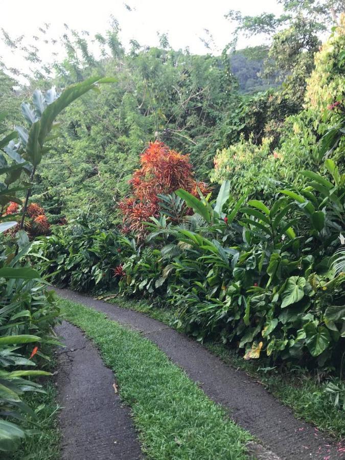 הוילה ויקטוריה Tropical Garden Self Catering מראה חיצוני תמונה